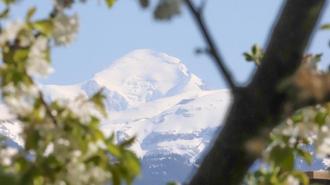 Mont-Blanc encadré, Taninges, avril 2020