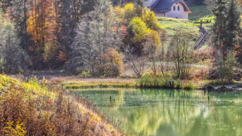 Lac de Vallon, Bellevaux, octobre 2020