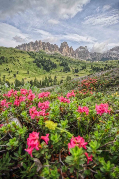 Selva di Val Gardena, Les Dolomites, Italie, août 2021